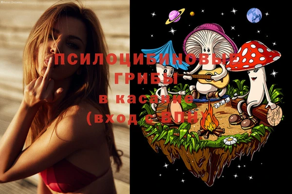 МДПВ Майский