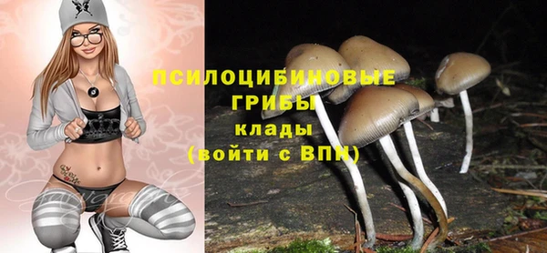 мяу мяу мука Магадан
