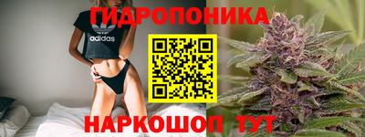 эйфоретик Будённовск