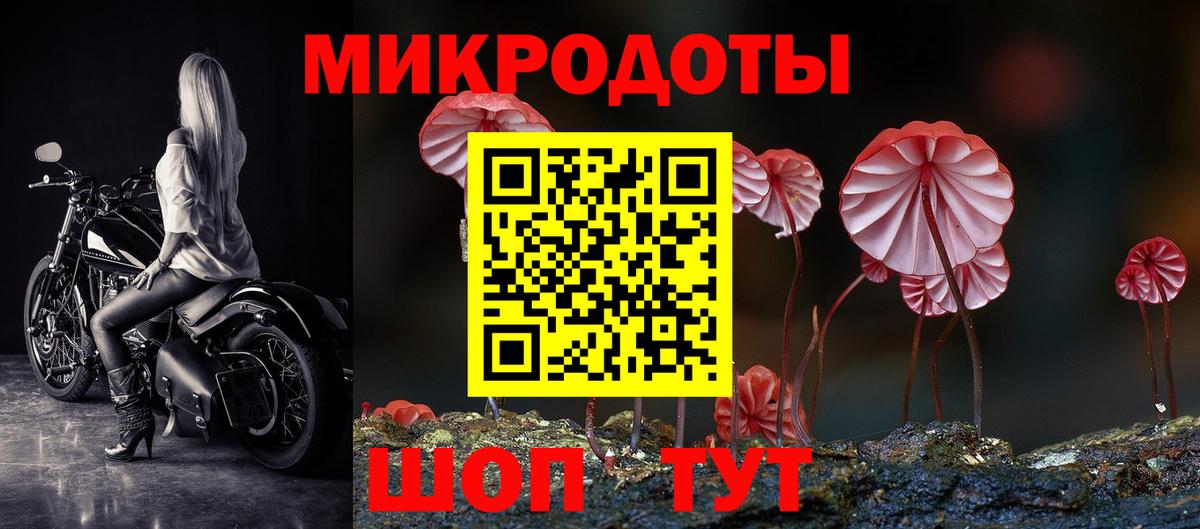 наркотики  Вход с VPN  Гагарин  Галлюциногенные грибы Cubensis 